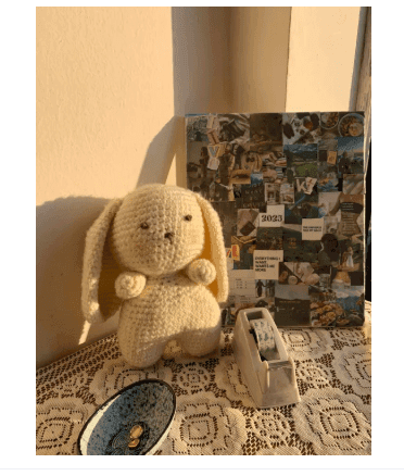 Handmade Crochet Bunny Plush Toy – Soft & Cuddly Amigurumi Doll (Gift for Kids & Decor)